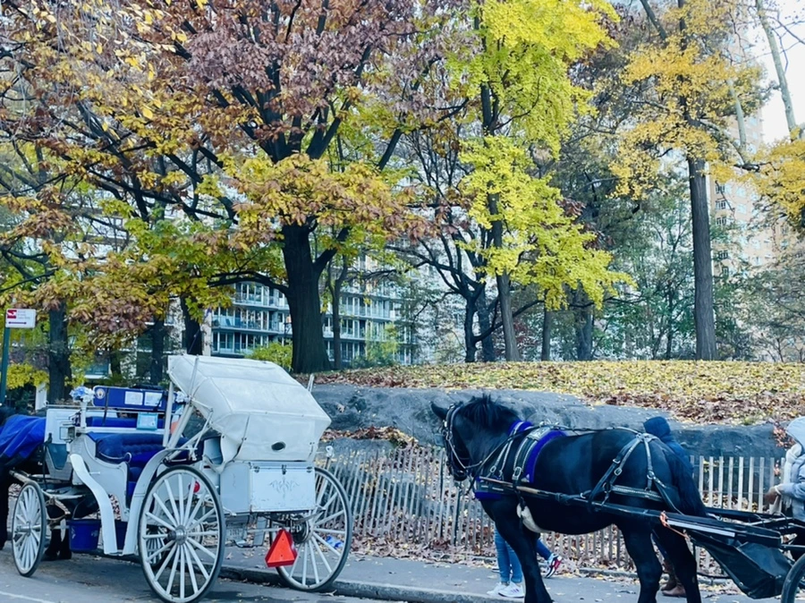 IMG_5082.jpg?type=w966