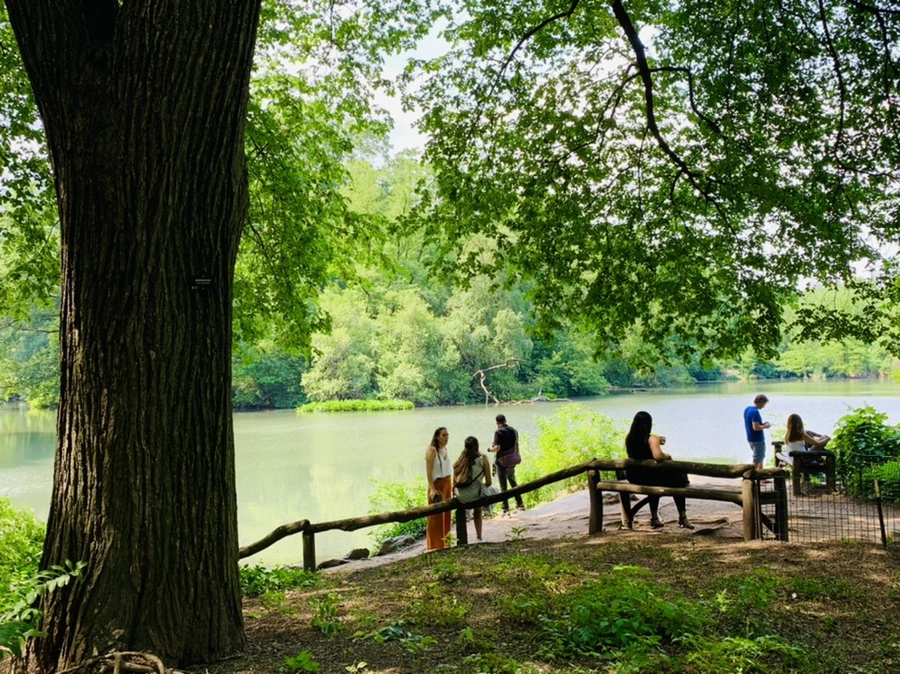 IMG_1621.jpg?type=w966