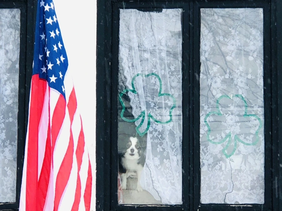 IMG_3405.jpg?type=w966