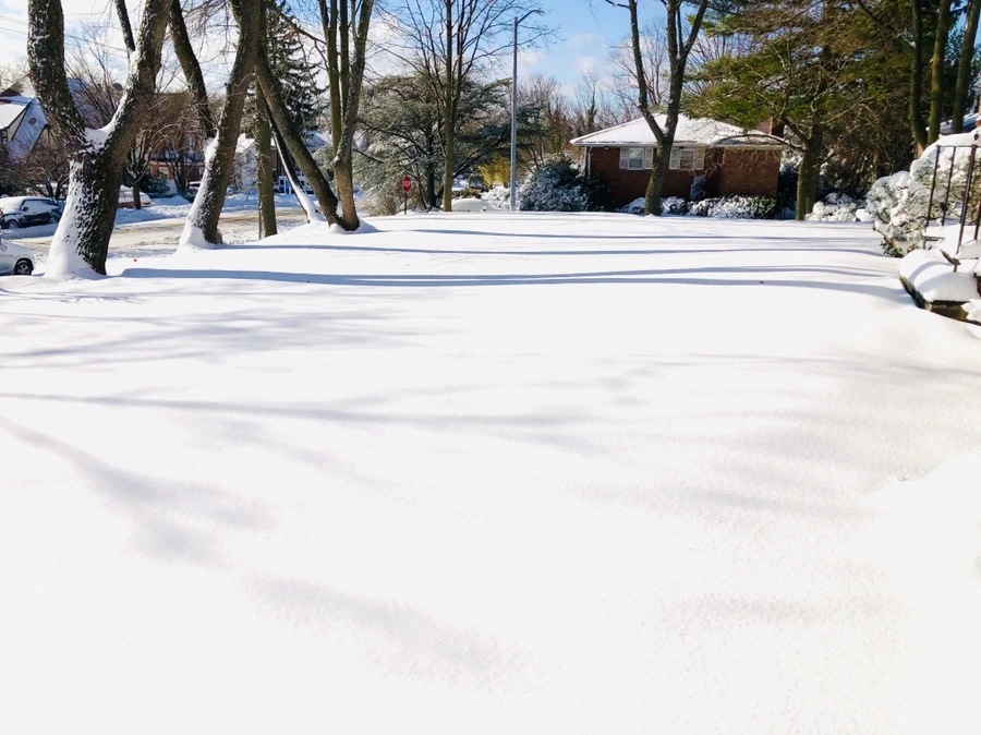 IMG_6961.jpg?type=w966