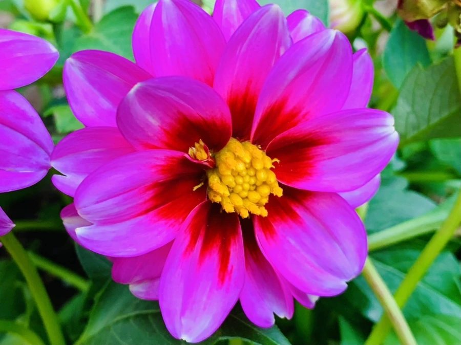 IMG_8928.jpg?type=w966