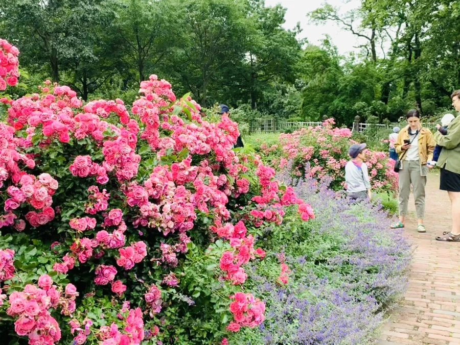 IMG_2742.jpg?type=w966