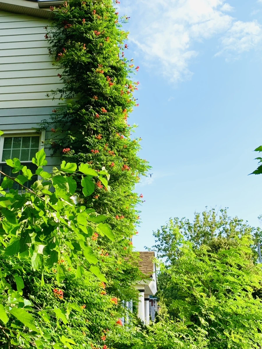 IMG_5846.jpg?type=w966