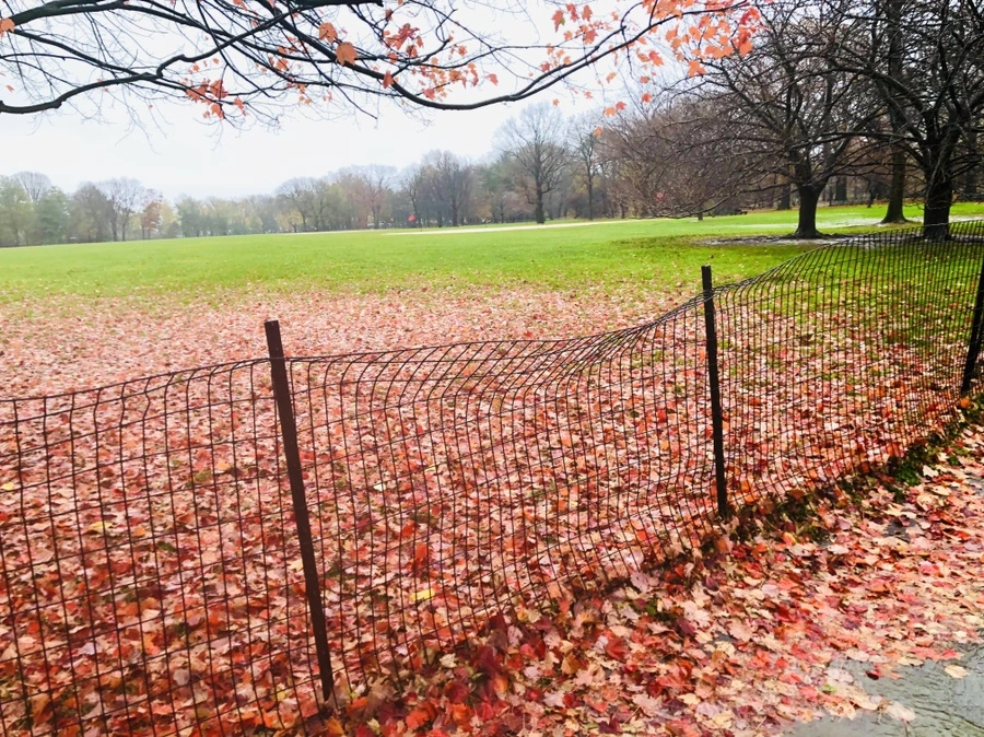 IMG_5726.jpg?type=w966