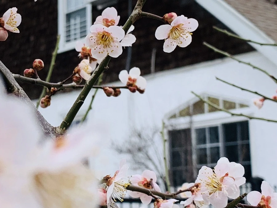 IMG_1671.jpg?type=w966