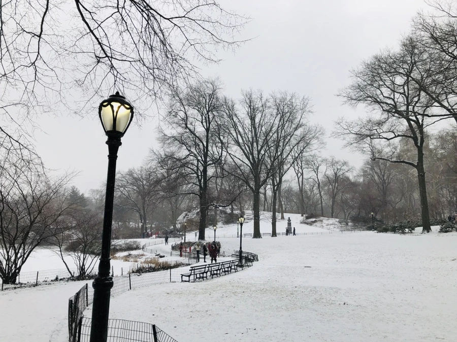 IMG_9530.jpg?type=w966