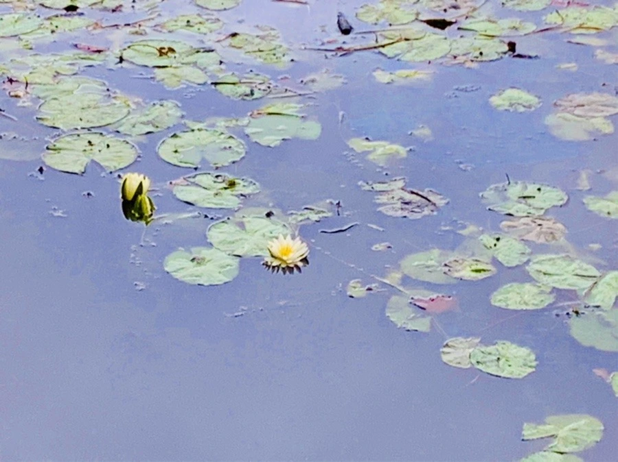 Yl3520s_hvZVyeuXdDzxgx3uDRE