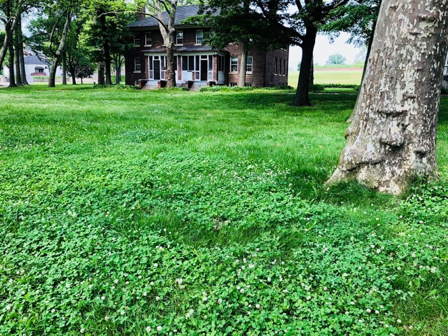 IMG_7455.jpg?type=w966