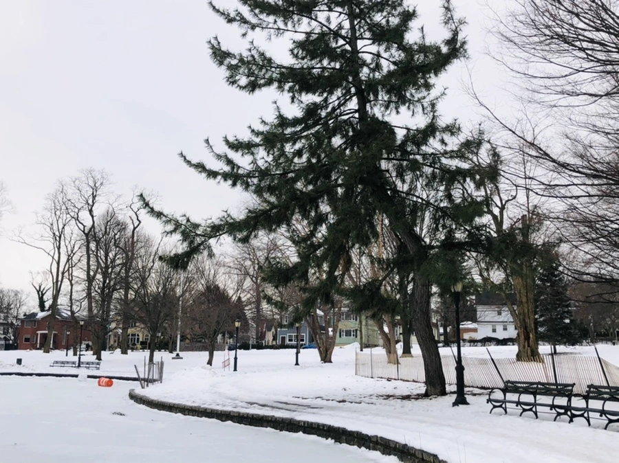 IMG_4375.jpg?type=w966