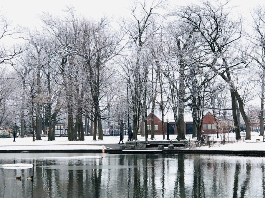 IMG_4537.jpg?type=w966