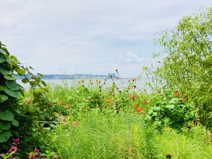 IMG_7892.jpg?type=w966