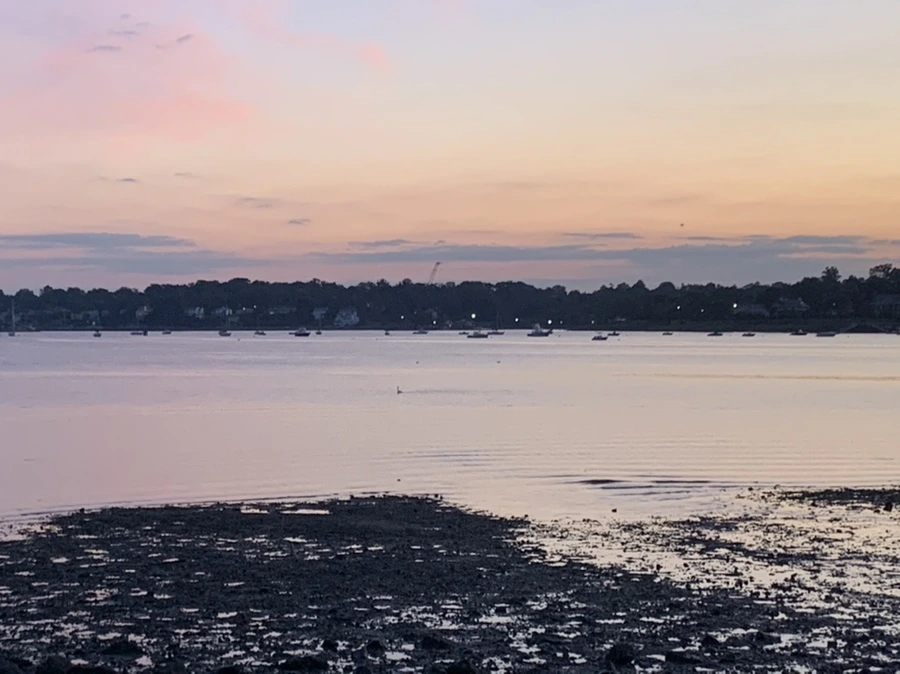 IMG_8714.jpg?type=w966