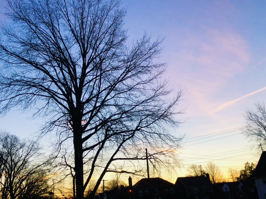 IMG_5605.jpg?type=w966