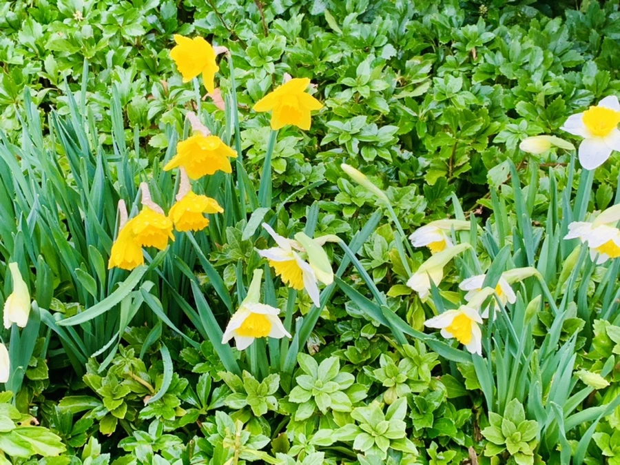 IMG_4973.jpg?type=w966