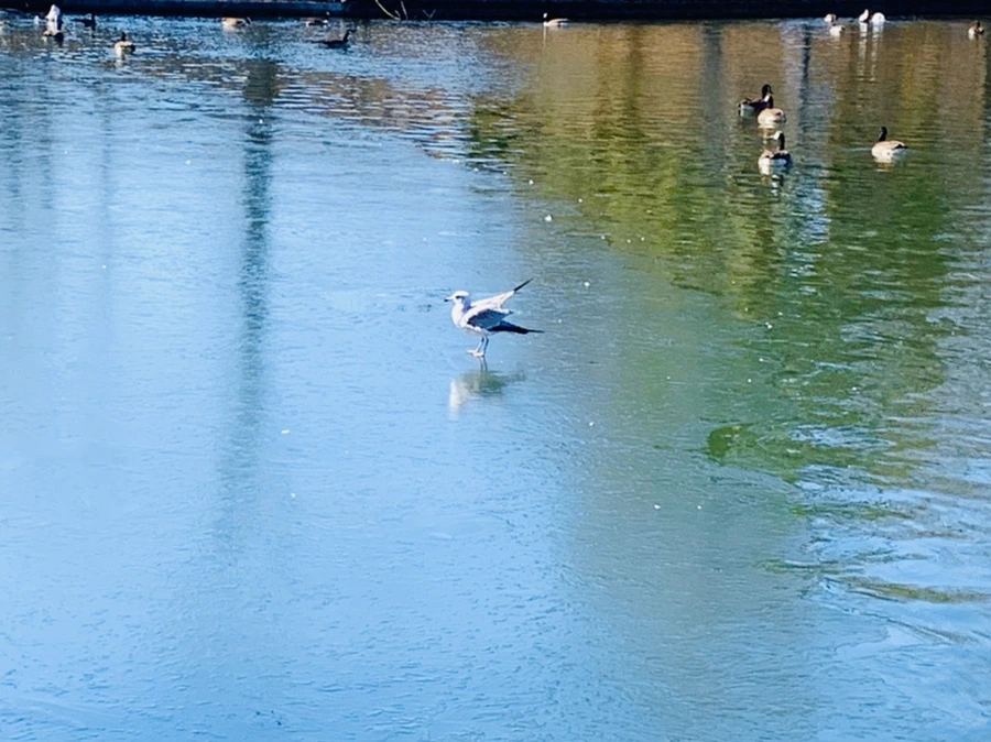 IMG_8904.jpg?type=w966