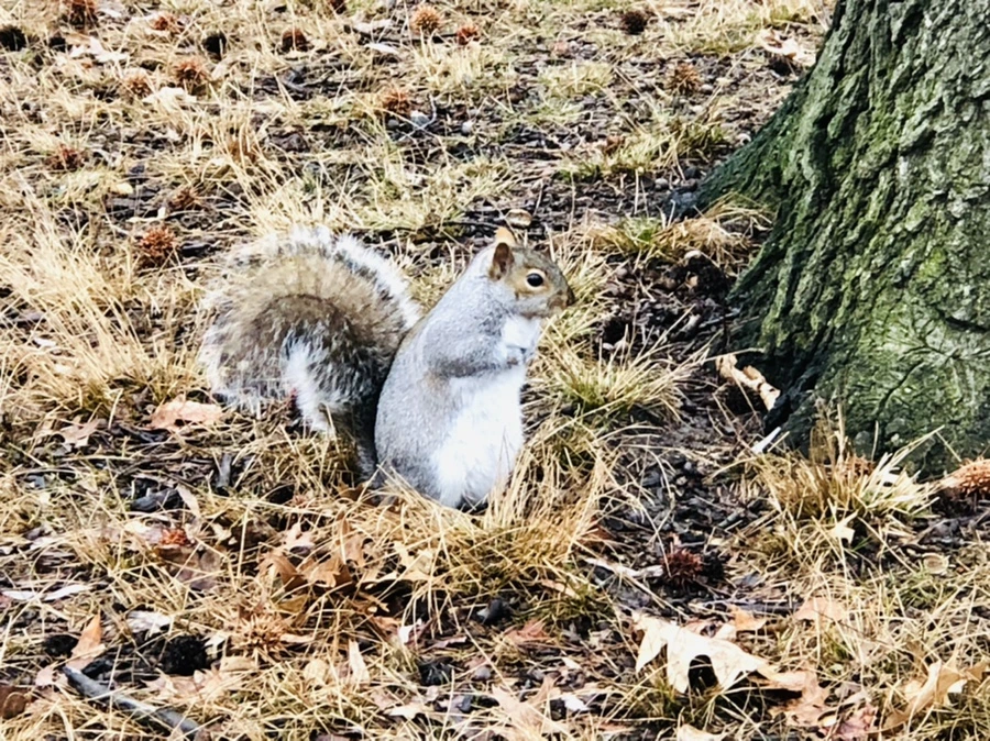 IMG_9546.jpg?type=w966