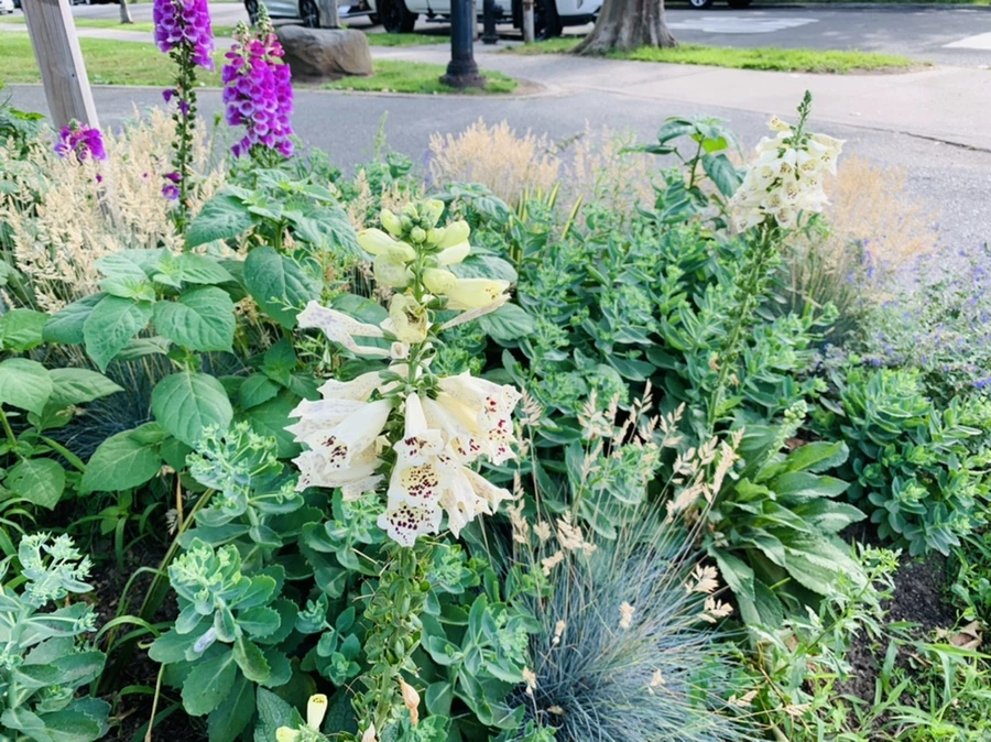 IMG_7352.jpg?type=w966