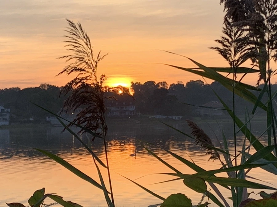 IMG_6830.jpg?type=w966