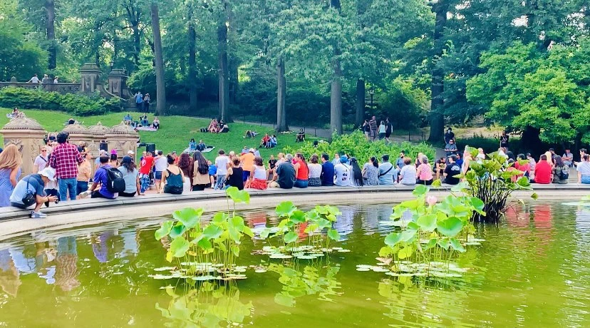 IMG_0677.jpg?type=w966