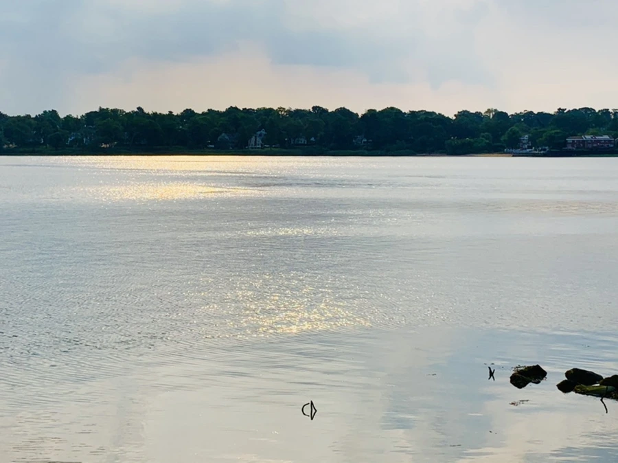 IMG_1593.jpg?type=w966