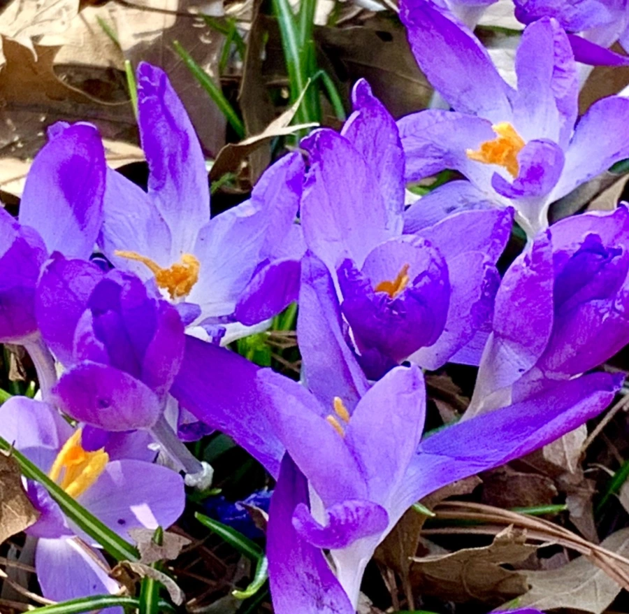 IMG_1295.jpg?type=w966