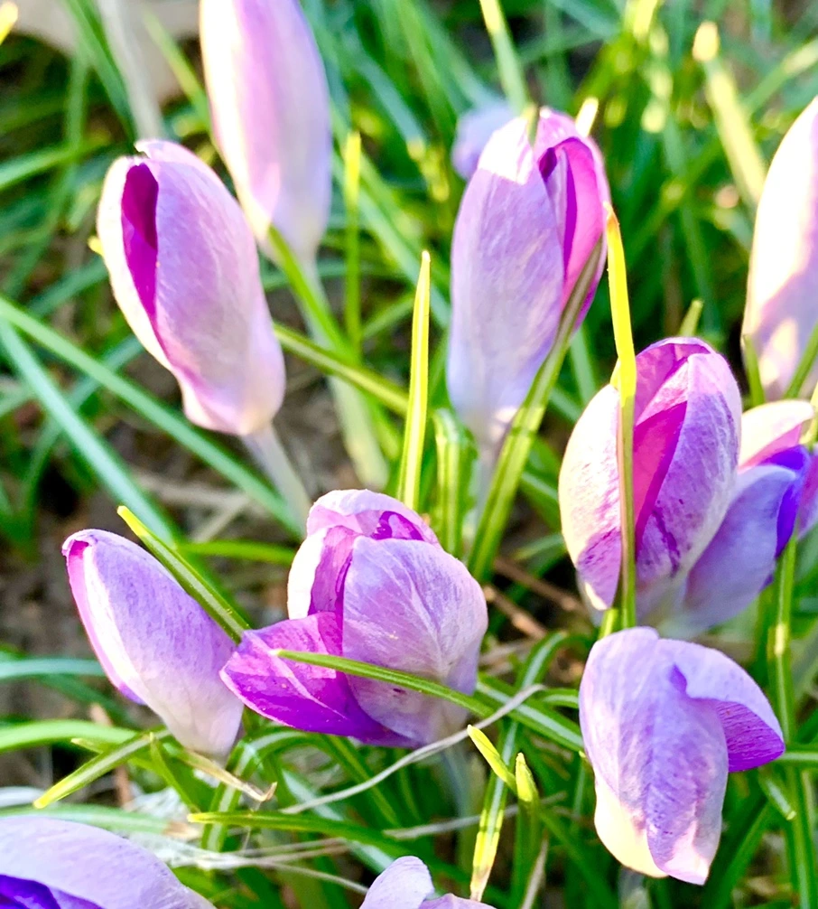 IMG_0756.jpg?type=w966