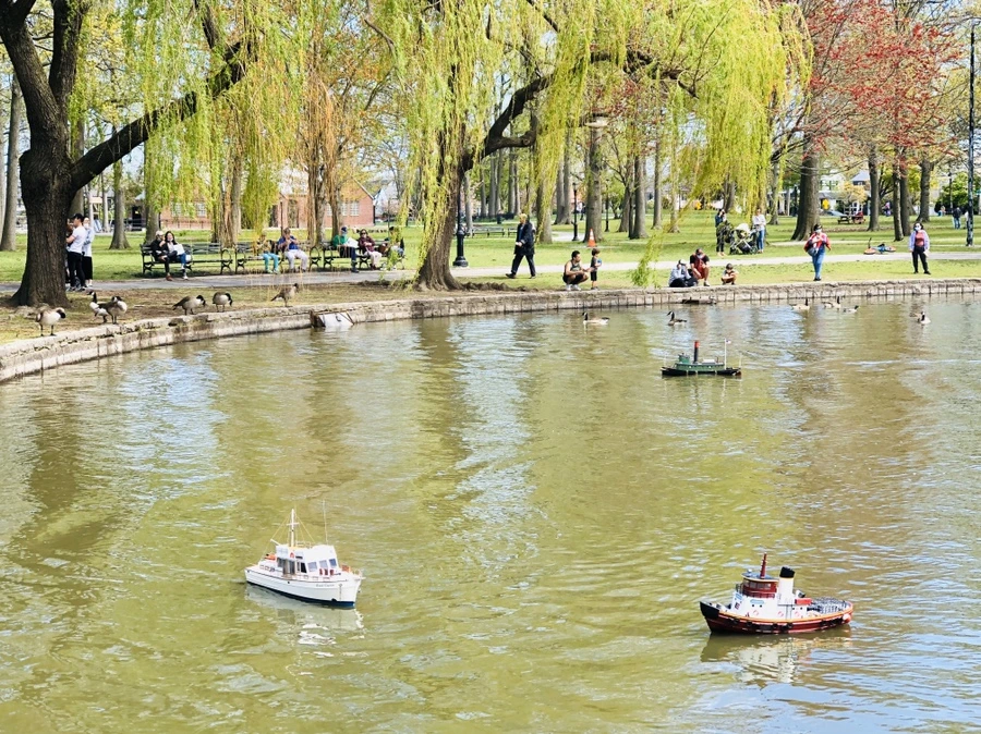 IMG_7222.jpg?type=w966