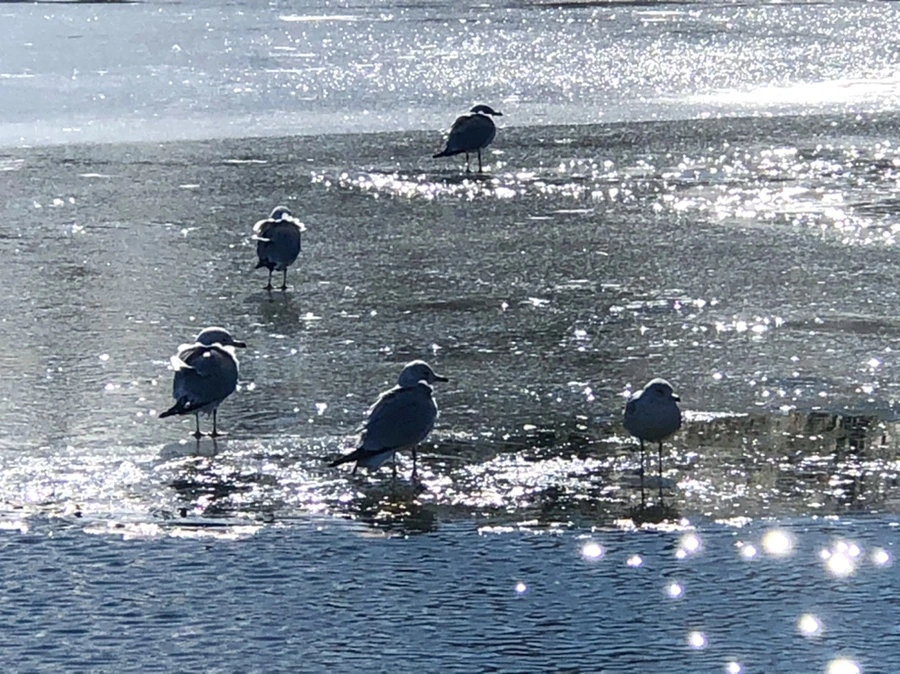 IMG_6847.jpg?type=w966