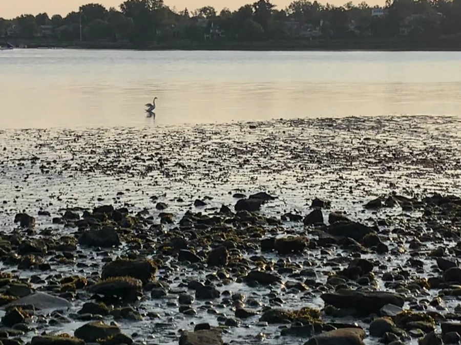 IMG_9786.jpg?type=w966