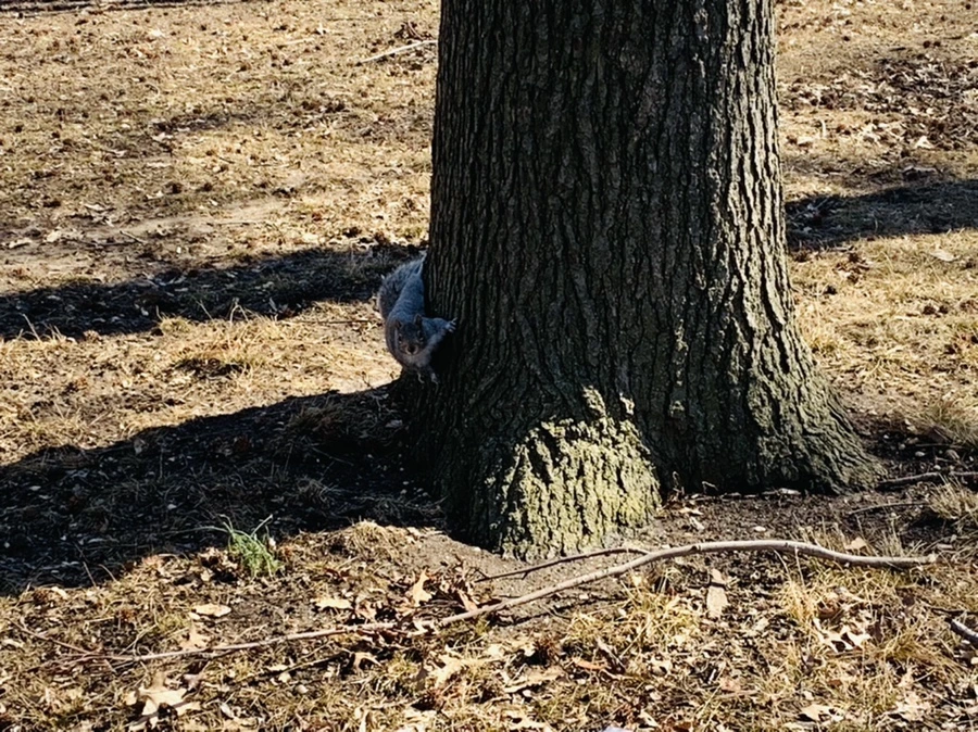 IMG_6937.jpg?type=w966