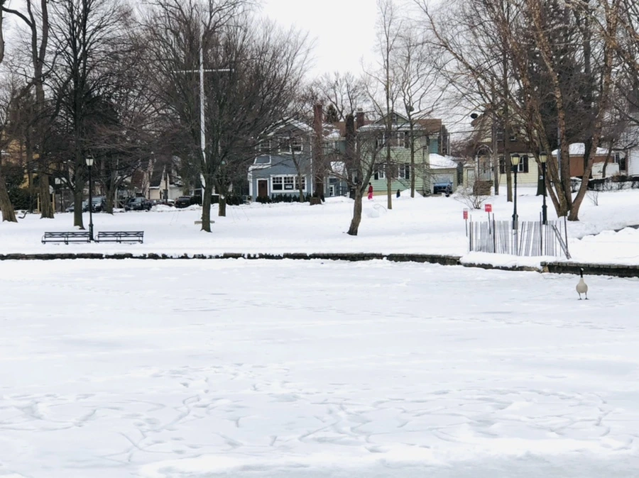 IMG_2735.jpg?type=w966