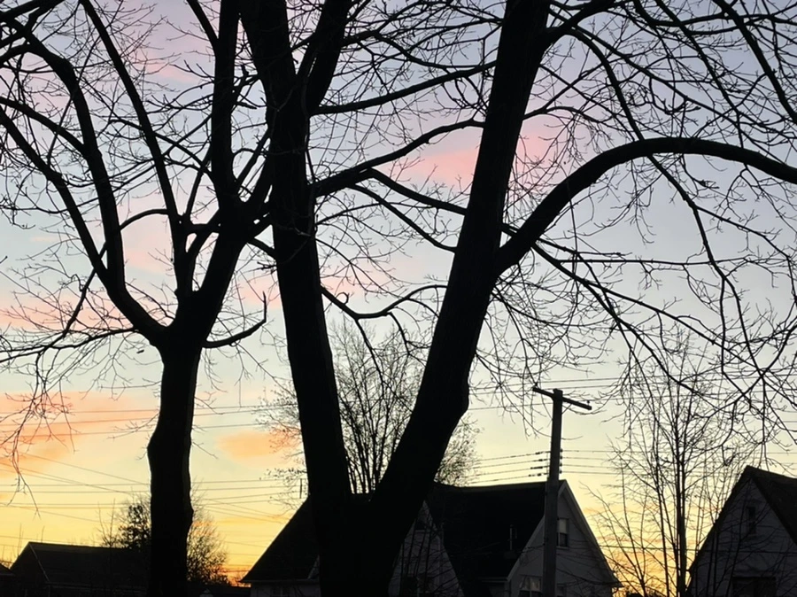 IMG_6864.jpg?type=w966