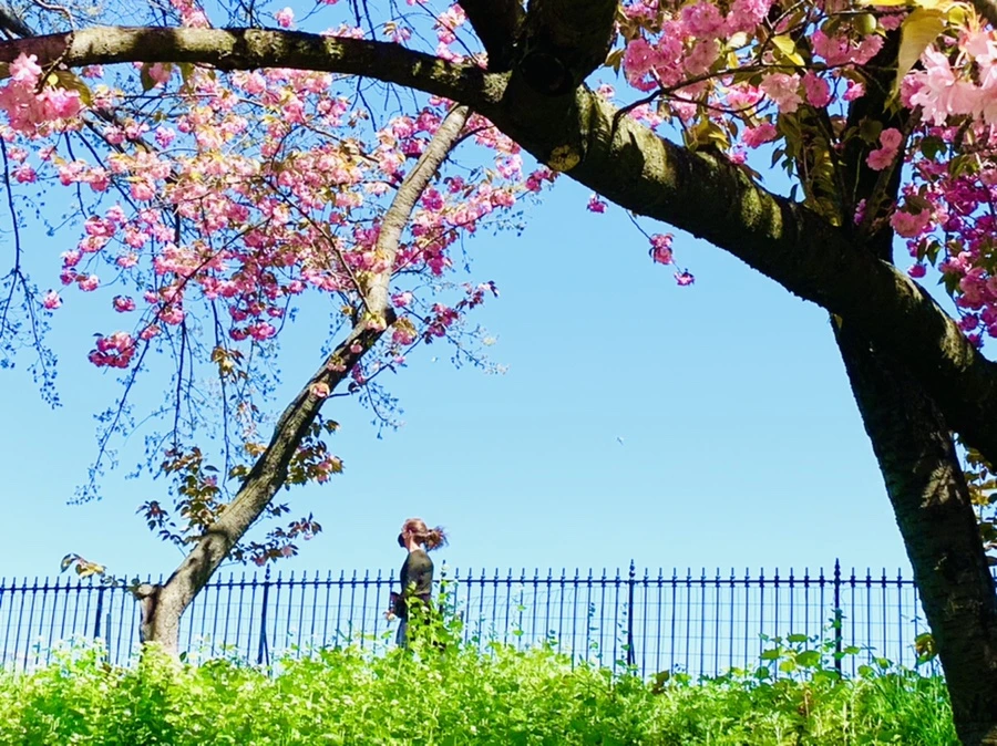 IMG_5855.jpg?type=w966