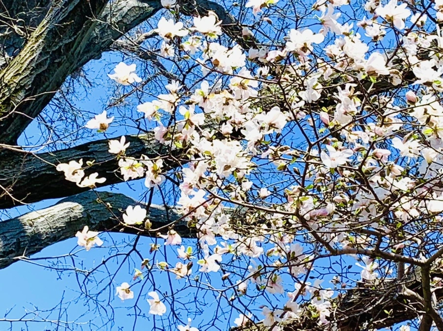 IMG_7676.jpg?type=w966