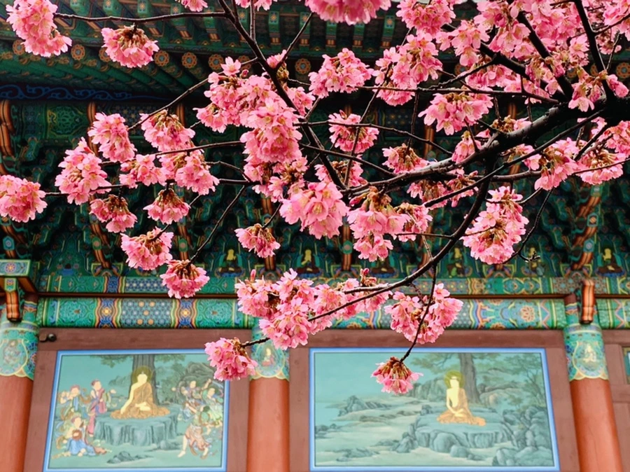 IMG_5225.jpg?type=w966