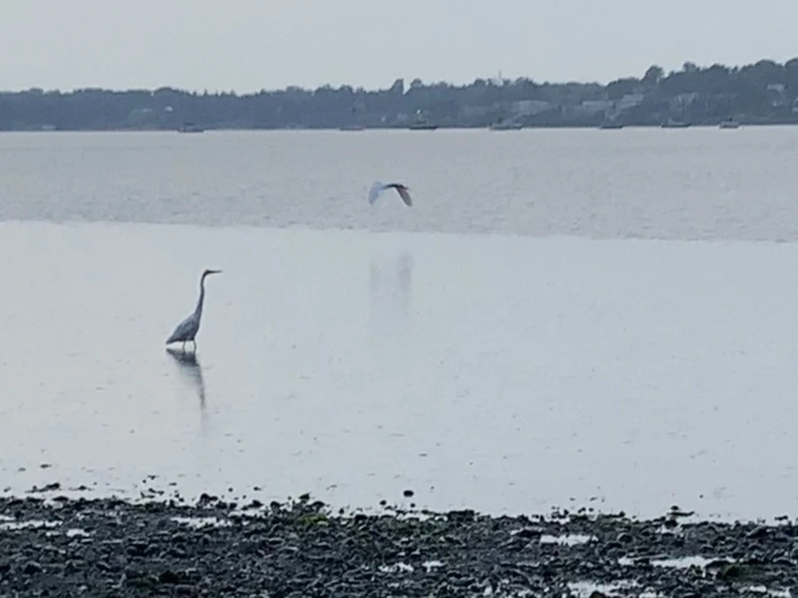 IMG_8114.jpg?type=w966