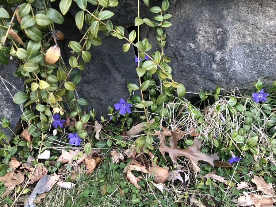 IMG_1608.jpg?type=w966