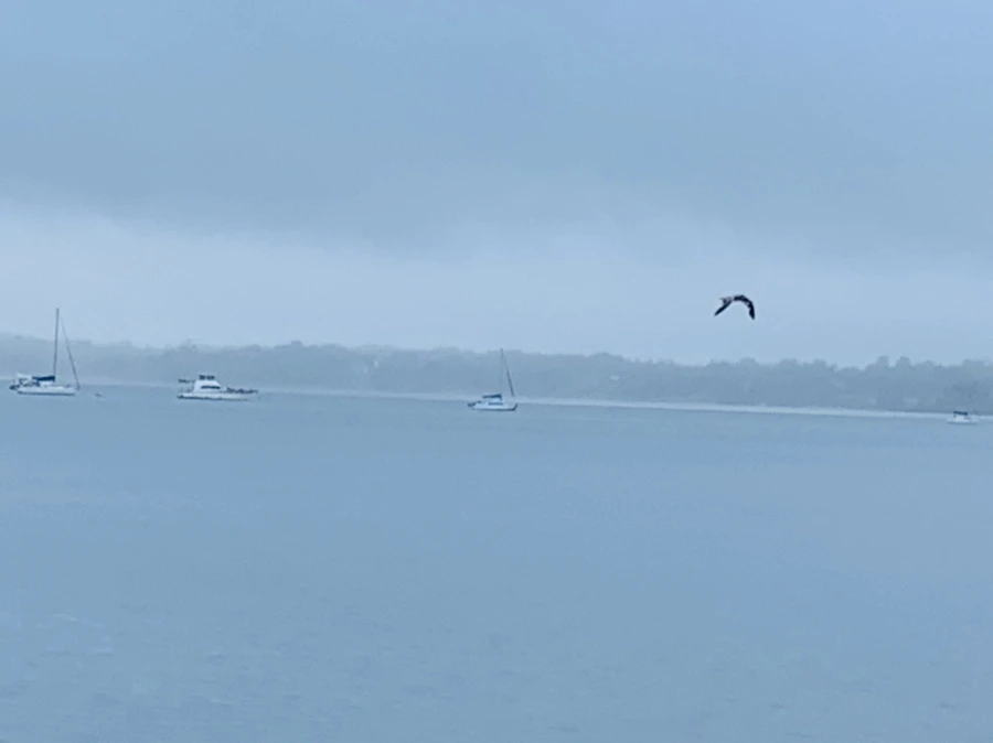 IMG_4787.jpg?type=w966