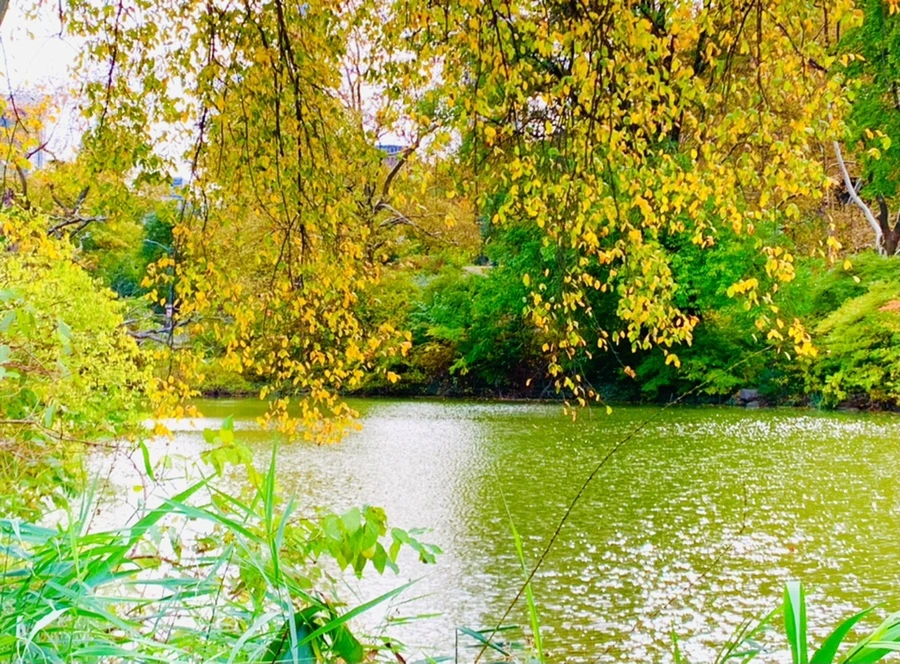 IMG_0191.jpg?type=w966