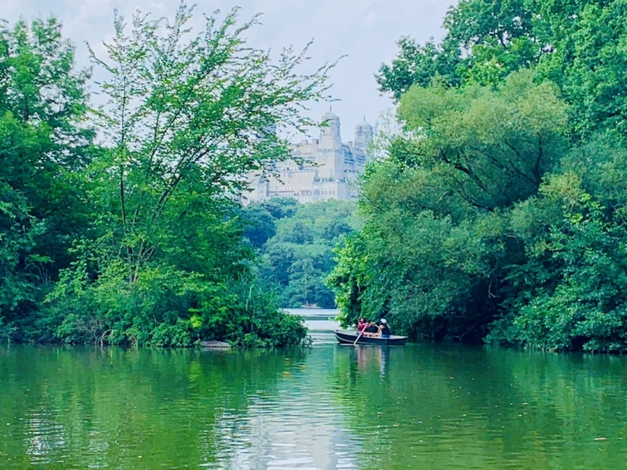 IMG_1719.jpg?type=w966