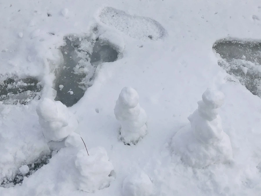 IMG_1658.jpg?type=w966