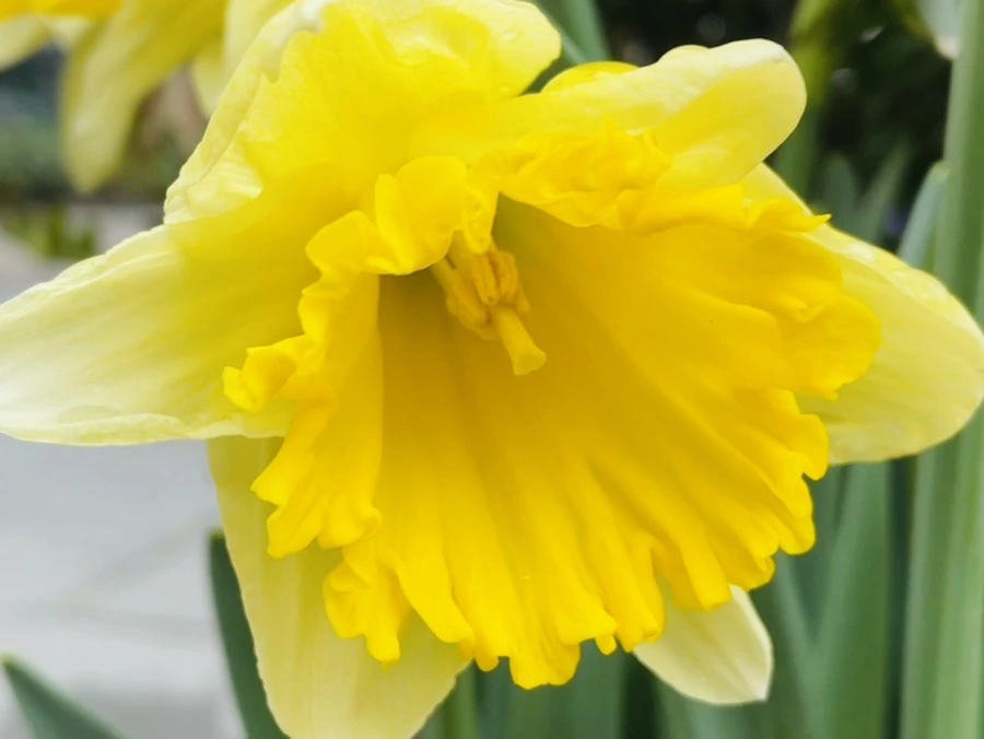 IMG_8720.jpg?type=w966