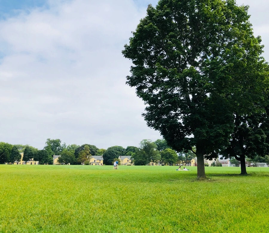 IMG_3856.jpg?type=w966