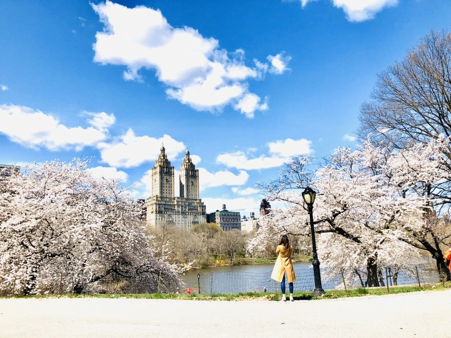 IMG_6812.jpg?type=w966