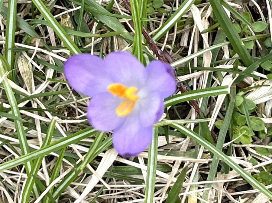 IMG_4080.jpg?type=w966