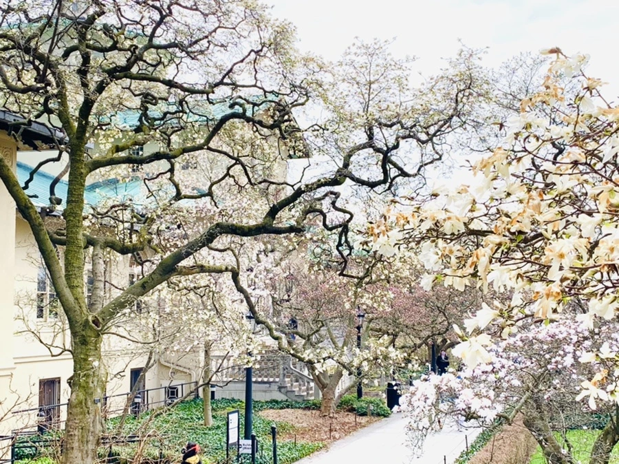 IMG_7134.jpg?type=w966