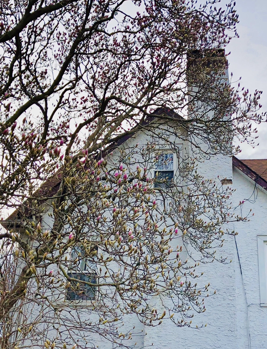 IMG_6343.jpg?type=w966