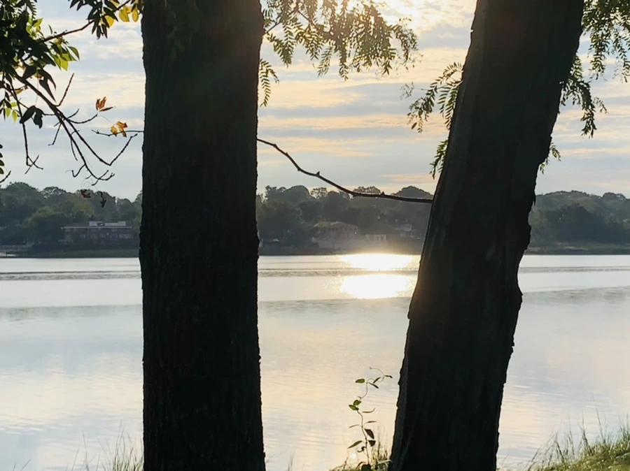 IMG_7777.jpg?type=w966