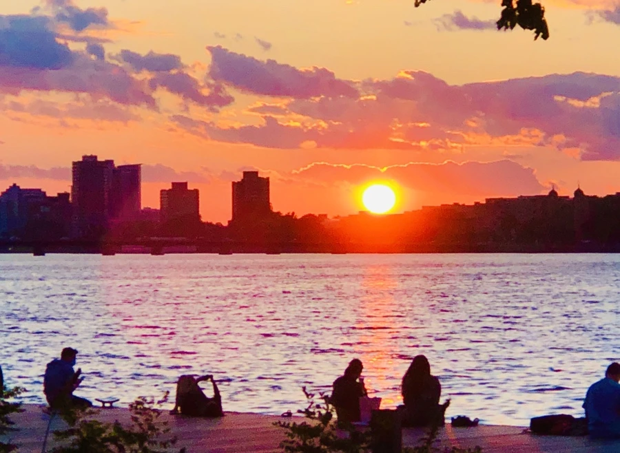 IMG_0894.jpg?type=w966