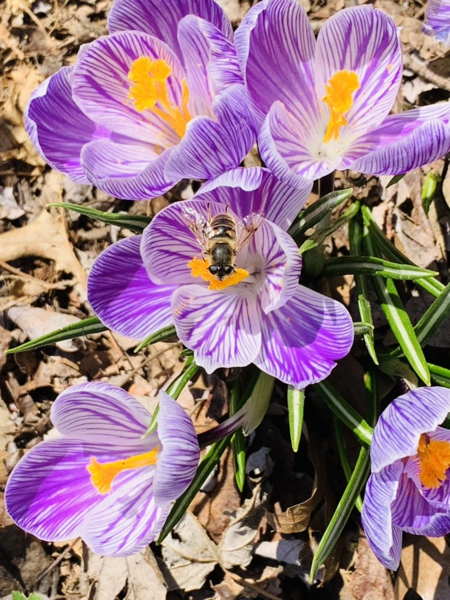 IMG_2899.jpg?type=w966